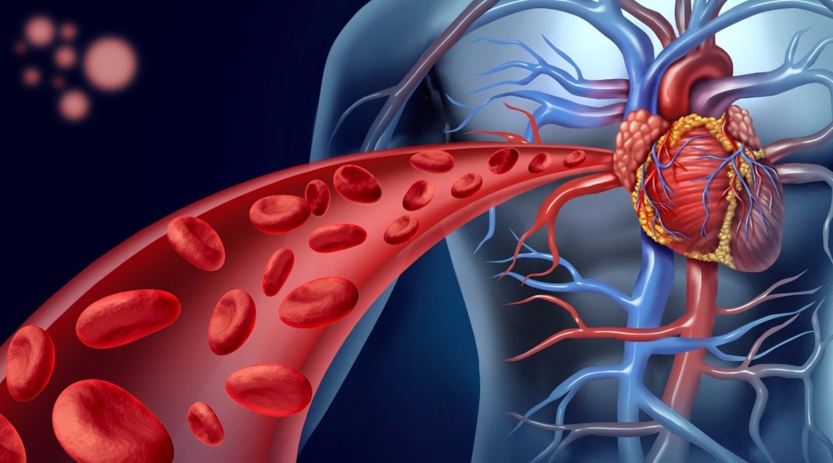 Exercising with Arthritis: Strategies for Joint Health and Pain Relief